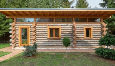 Палицы 3D Model